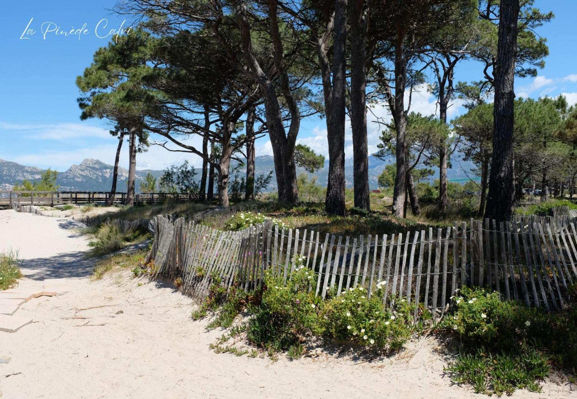 Les Pieds Dans L'Eau T2 E Apartamento Calvi  Exterior foto